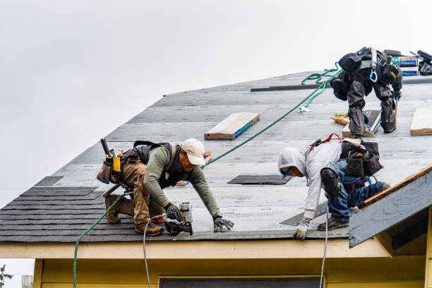 Professional Metal Roofing technician working in Powderly, TX